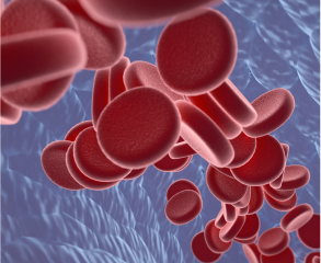 间充质干细胞成血管、血小板分化研究实验室